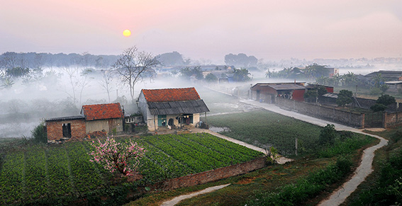 Căn nhà mùa xuân